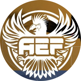 AEF Season 1 Finals 