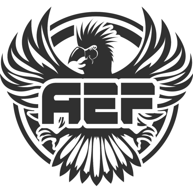 AEF Season 2 Finals 
