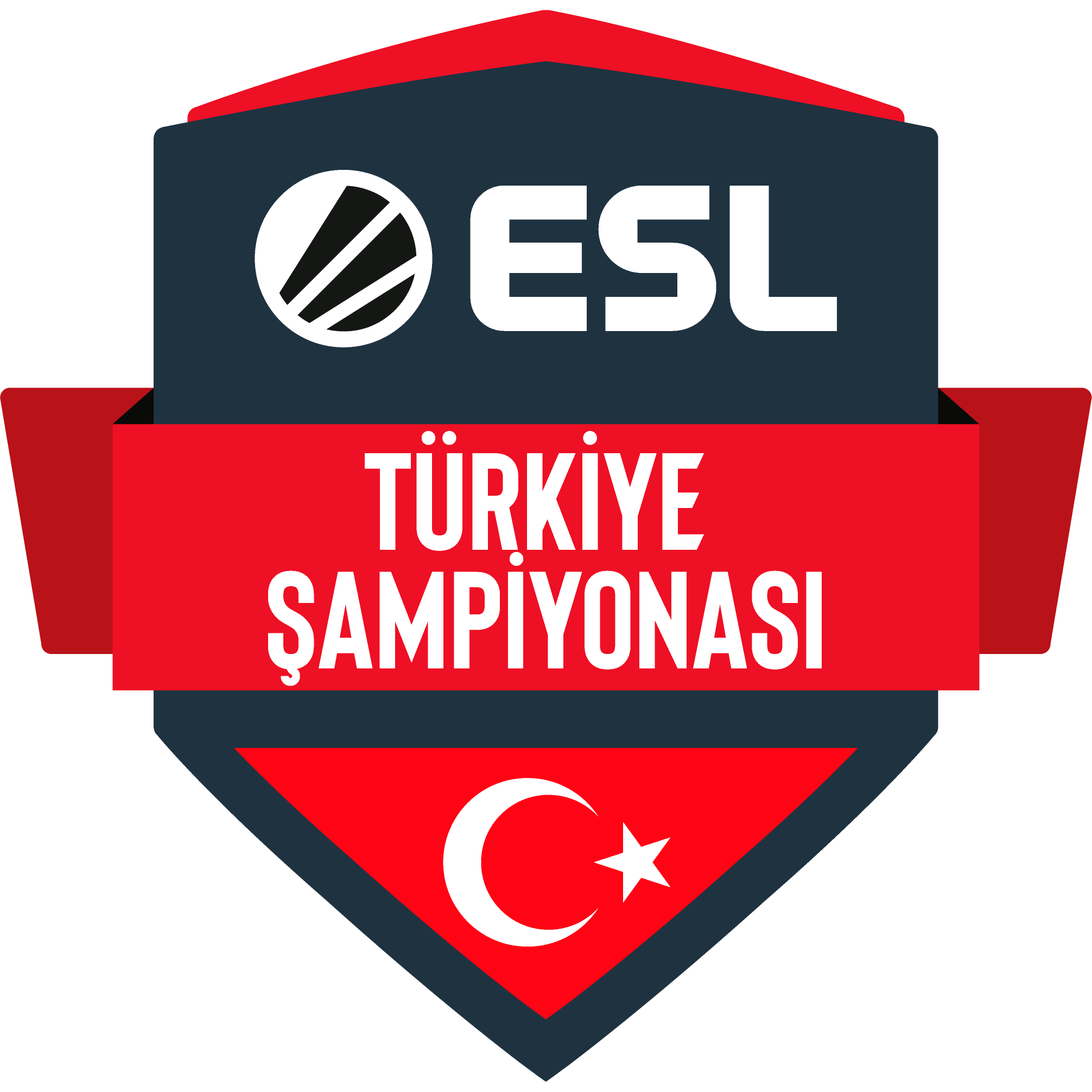 ESL Turkey Championship Summer 2020 Finals