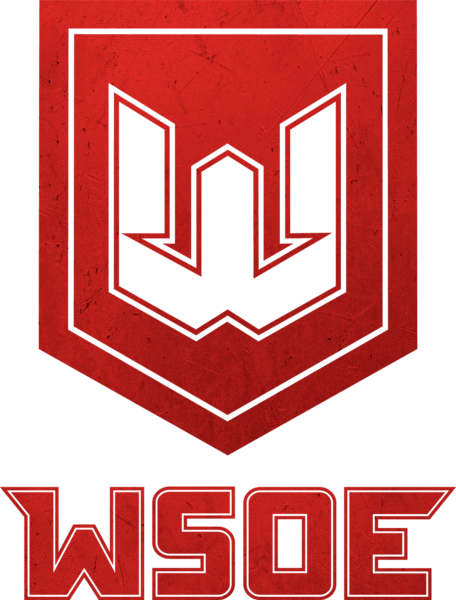 WSOE 6: Dota 2