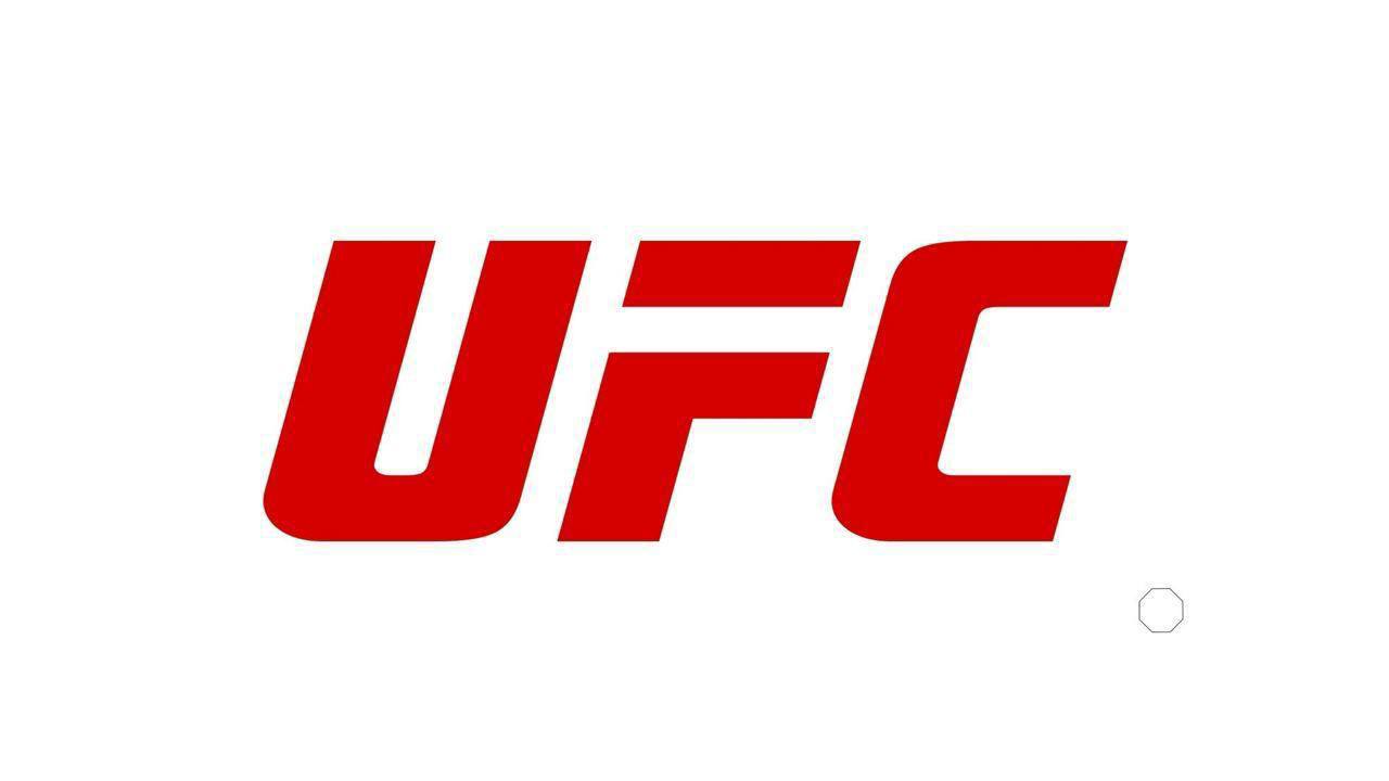 MIDDLEWEIGHT - MEN: UFC (World)