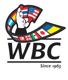 HEAVYWEIGHT - MEN: IBF IBO WBC WBO Titles (World)