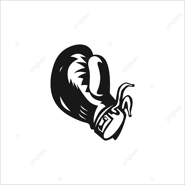 LIGHTWEIGHT - MEN: WBC WBA WBO IBF Titles (World)