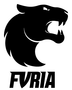 FURIA Esports