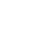 fnatic logo