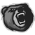 Bears Concept