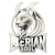 CYBERSHOKE logo