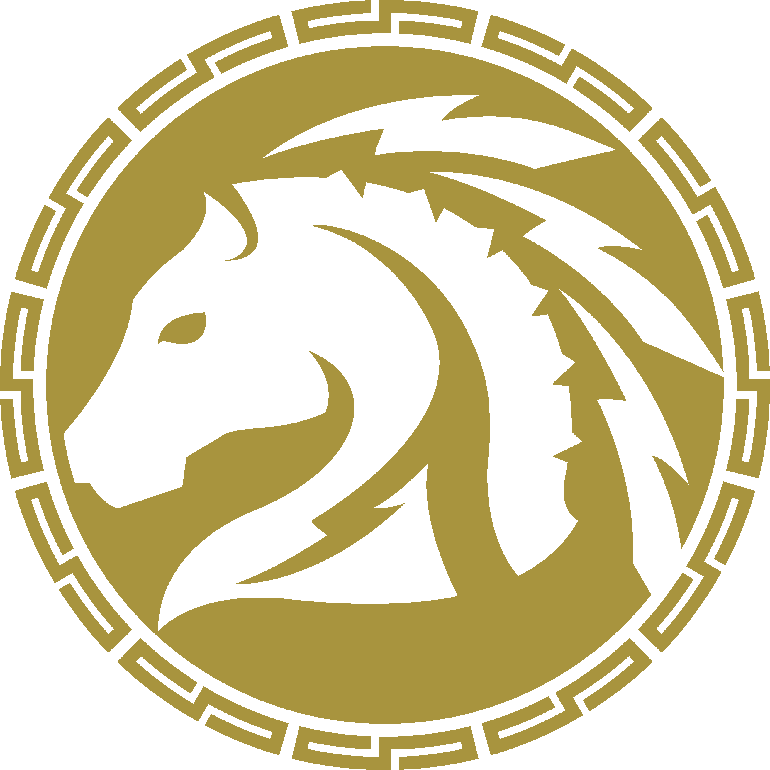 Kansas City Pioneers