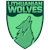 Lithuanian Wolves logo