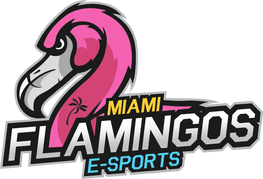 Miami Flamingos