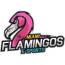 Miami Flamingos 