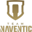 Team Naventic