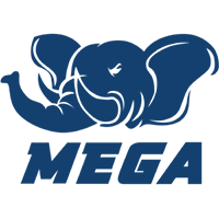 MEGA Esports previously FireBall