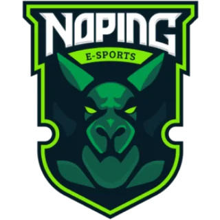 NoPing esports