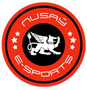 Nusay Esports