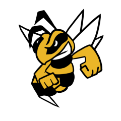 Team Stariy Bog logo