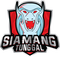 Siamang Tunggal