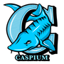 Team Caspium