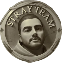 Team Stray