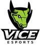 Vice Esports
