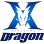 Kingzone DragonX