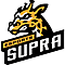Supra Esports