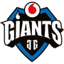 Vodafone Giants