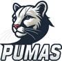 pumas