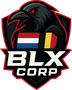 BLX CORP X BCG