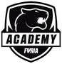 FURIA Academy