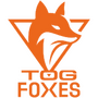TeamOrangeGaming