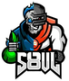 Team S8UL