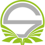 Team Singularity